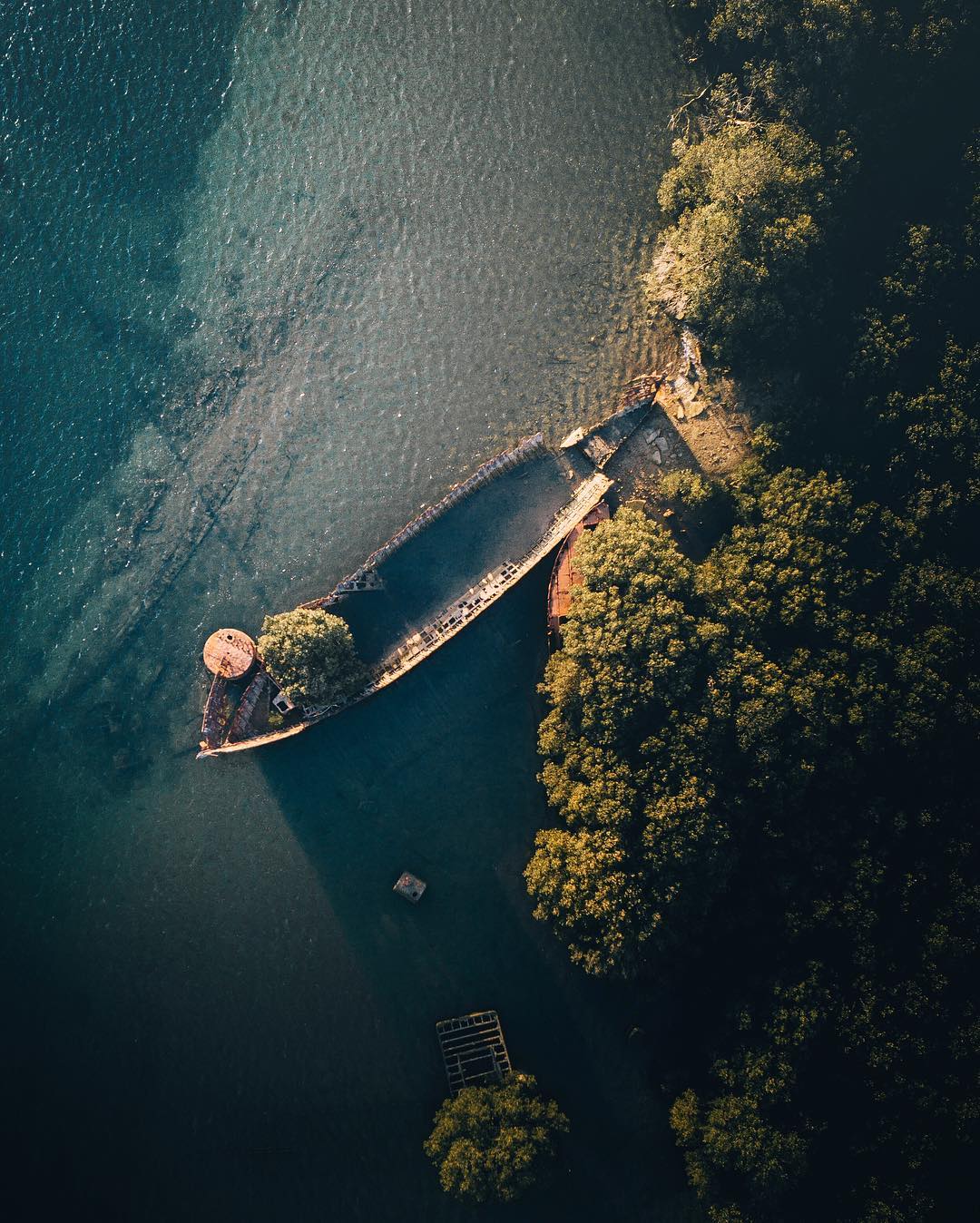 Nature View
