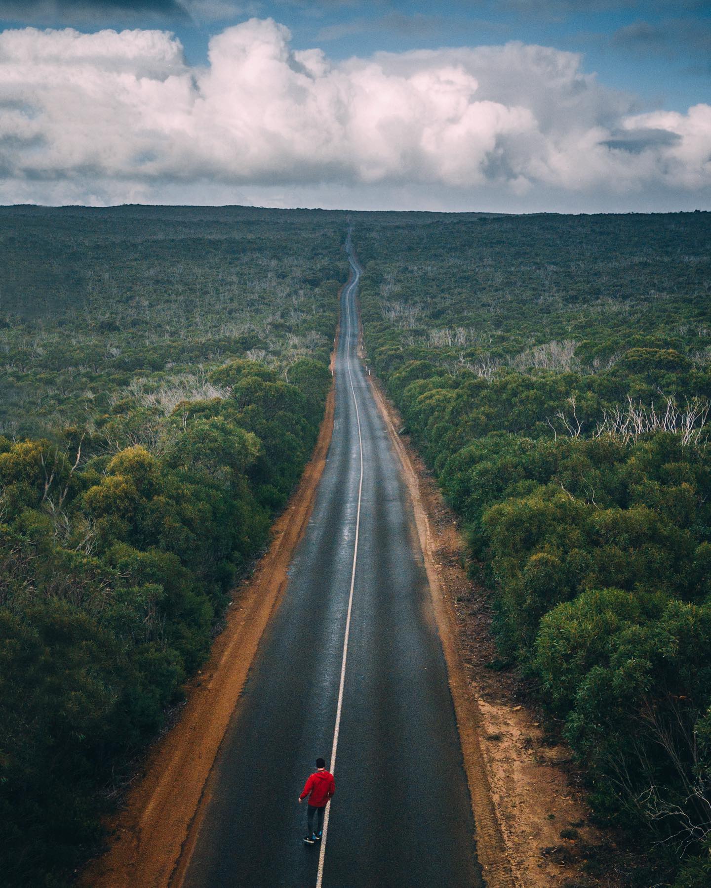 Nature View