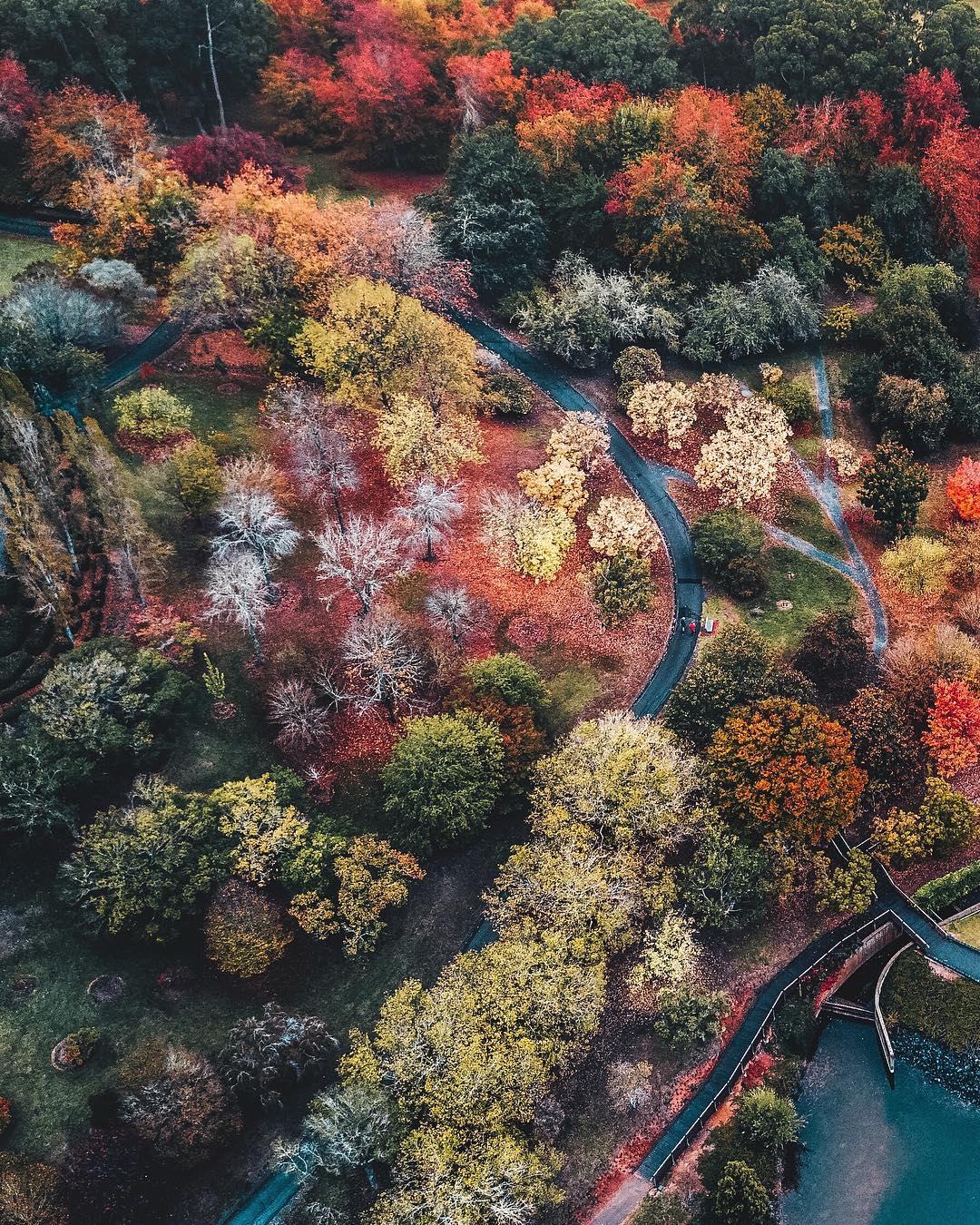 Nature View