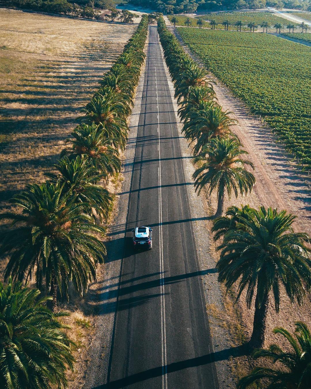 Nature View