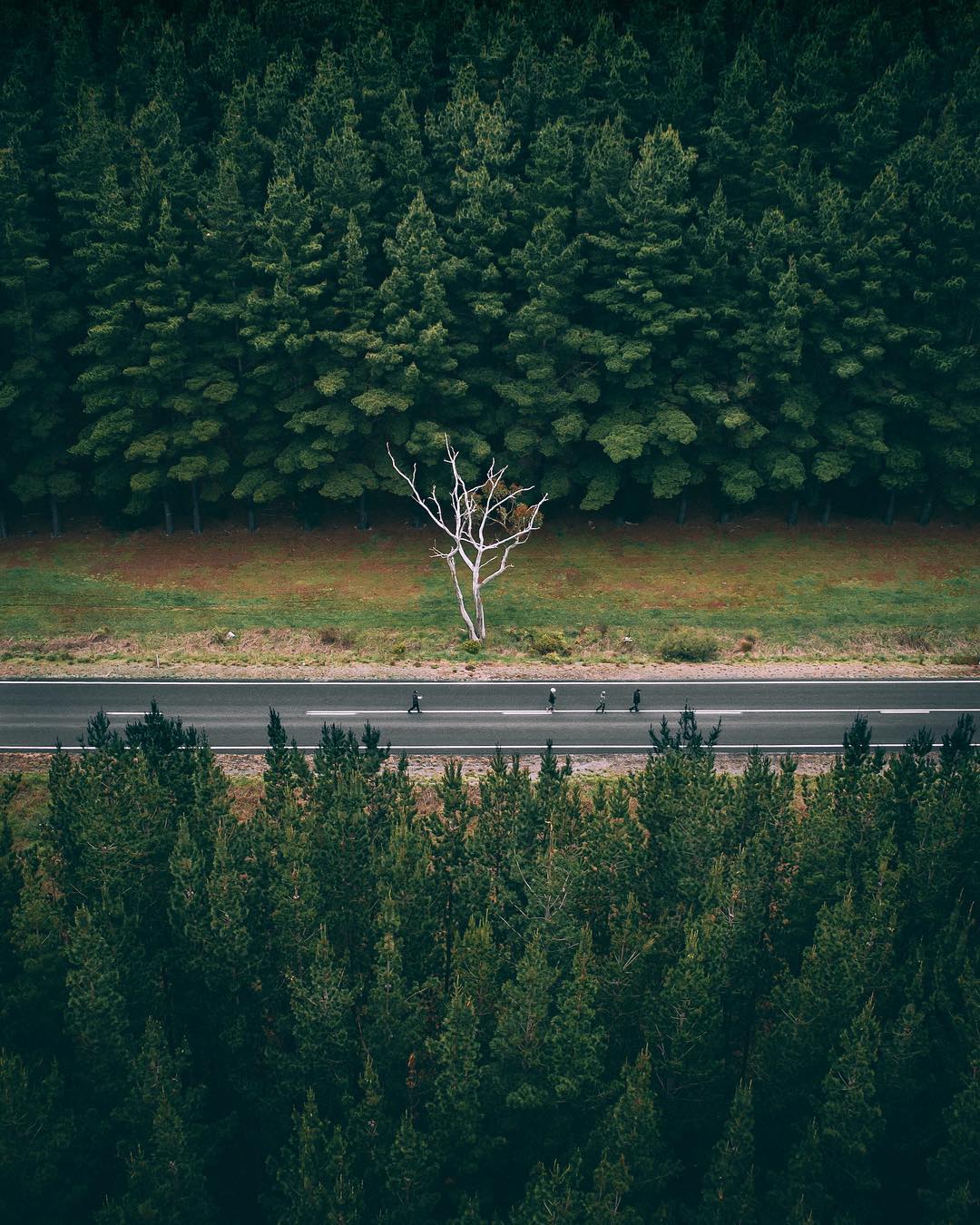 Nature View