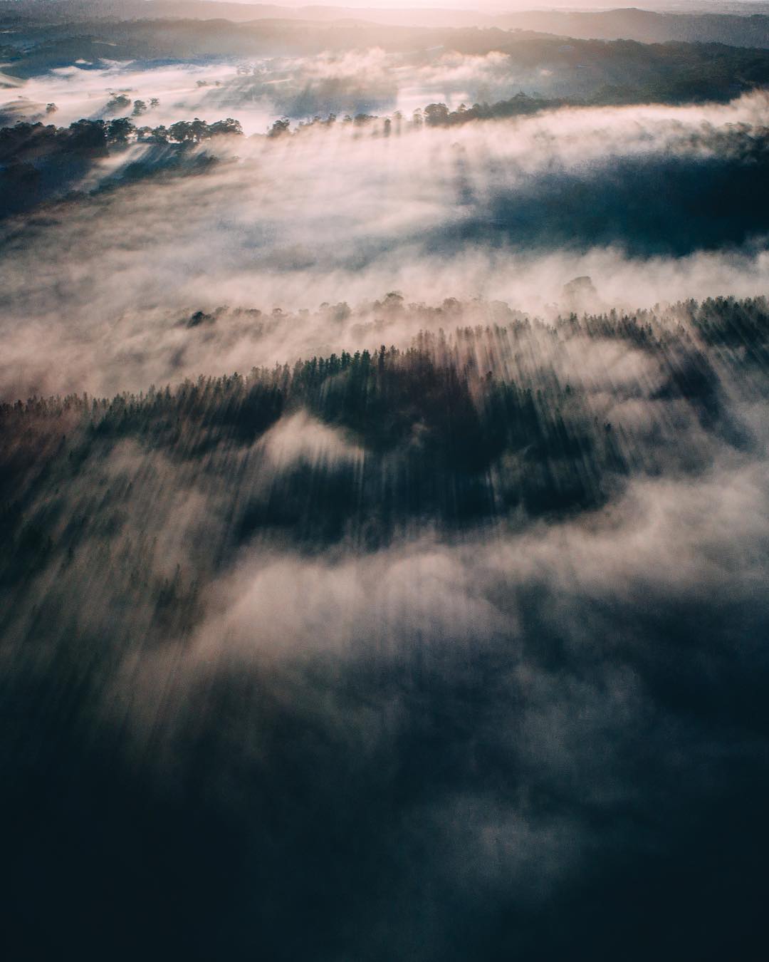 Nature View
