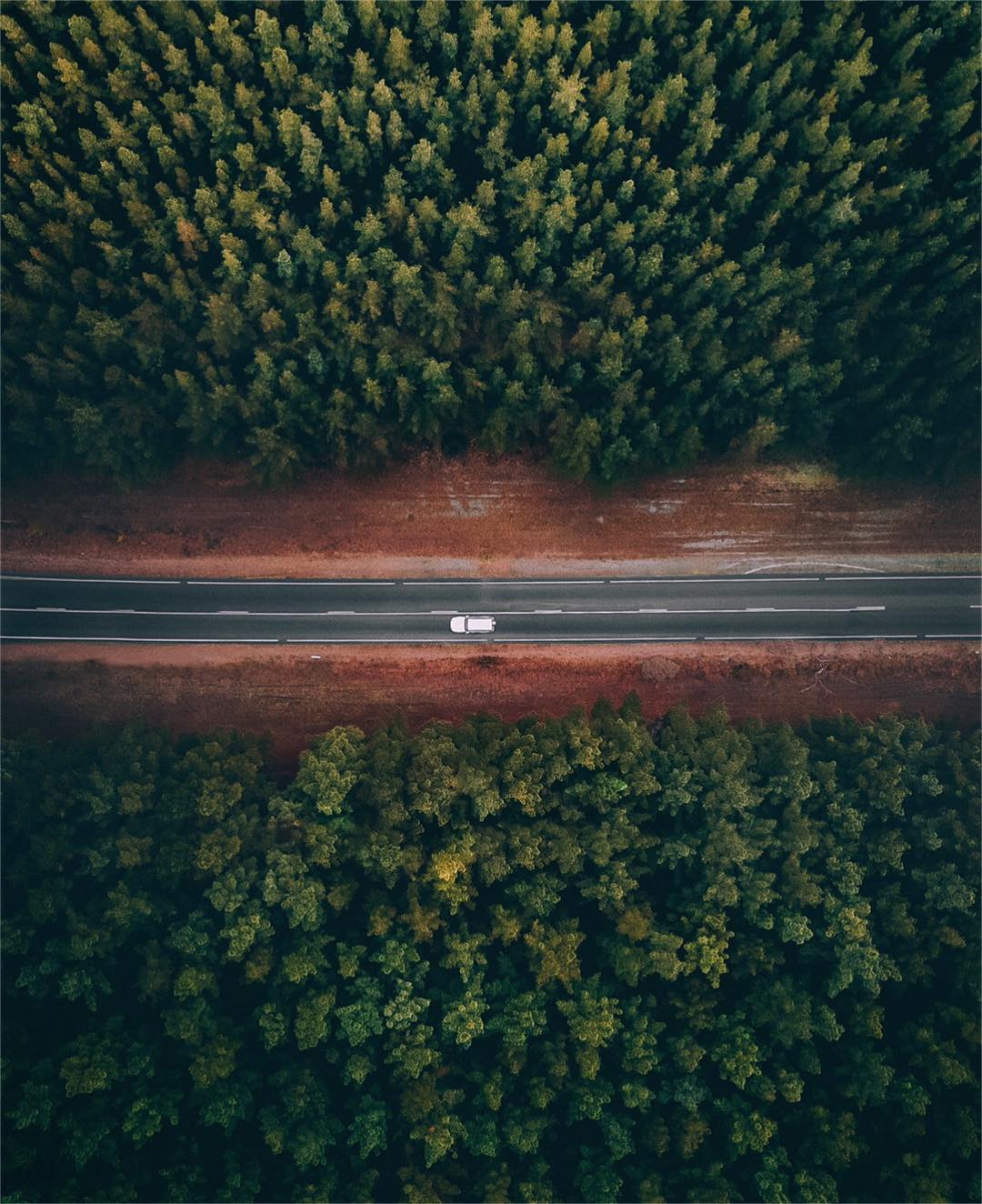 Nature View