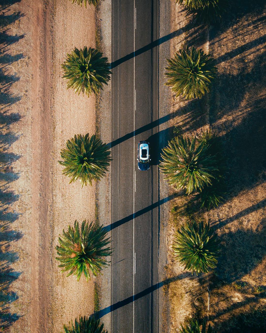 Nature View