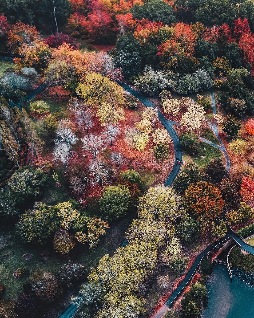 Nature View