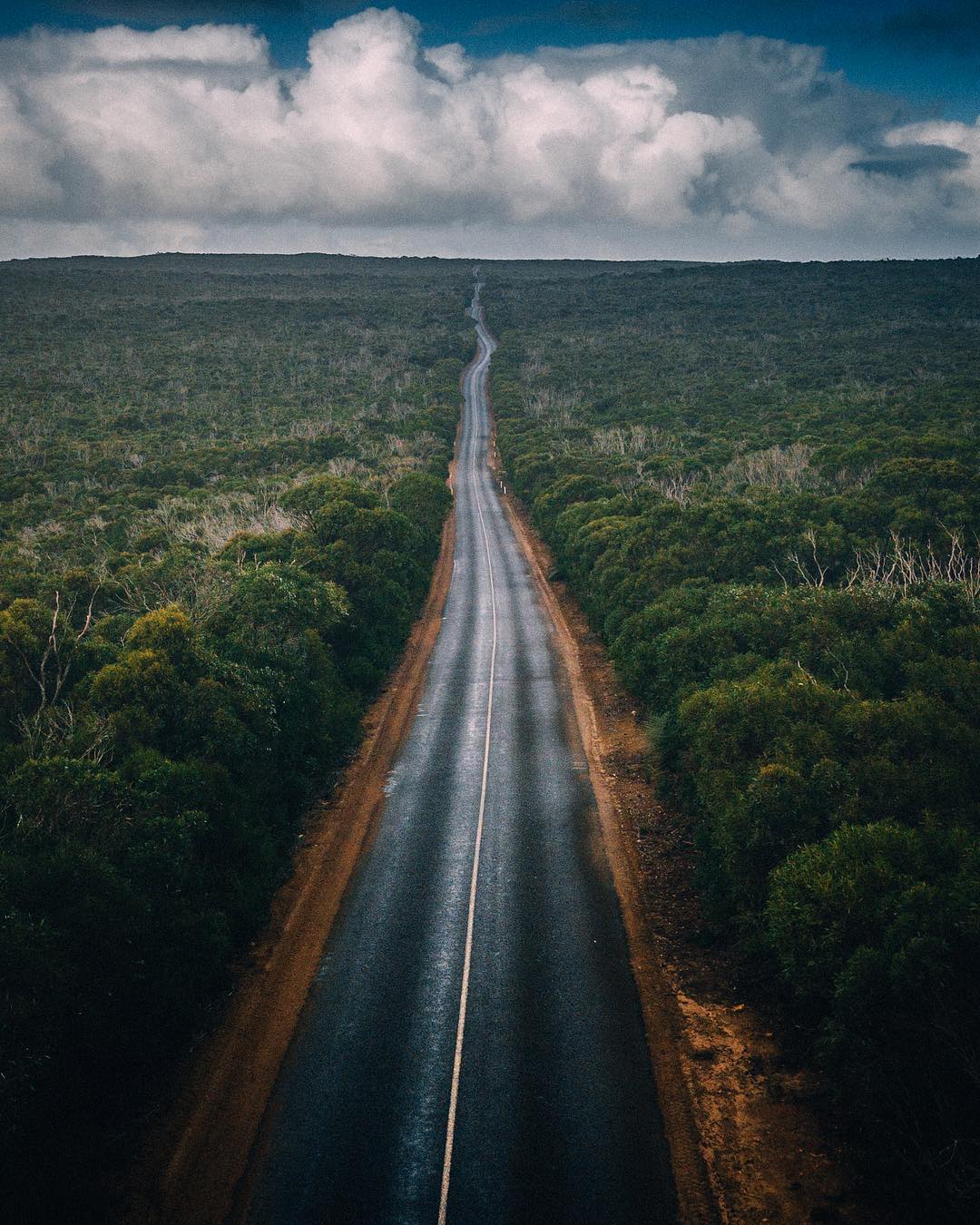 Nature View