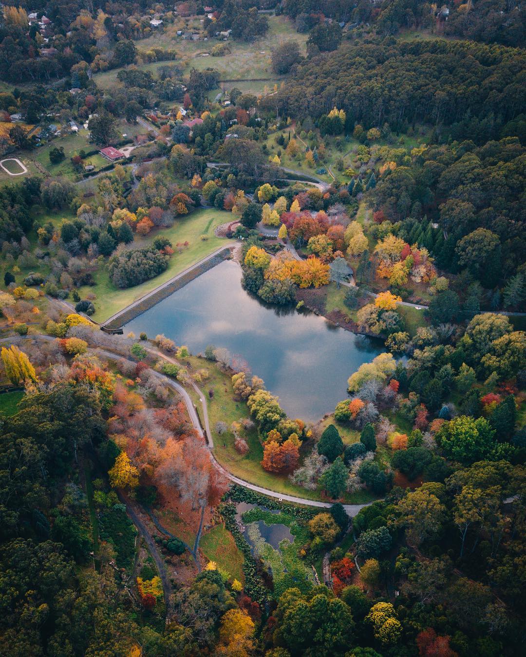 Nature View