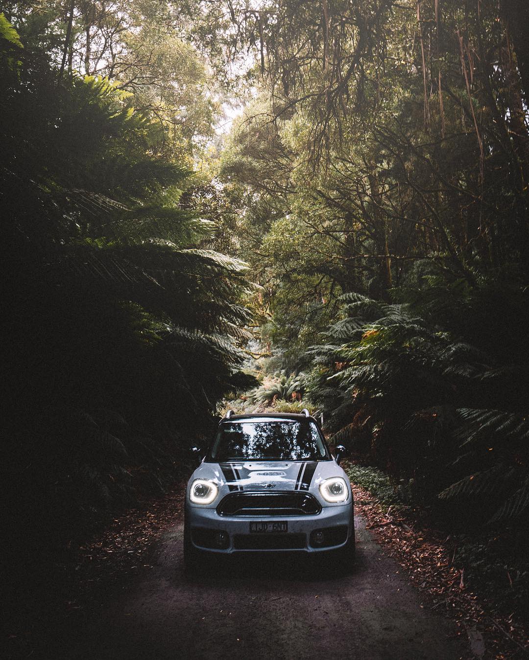 Nature View