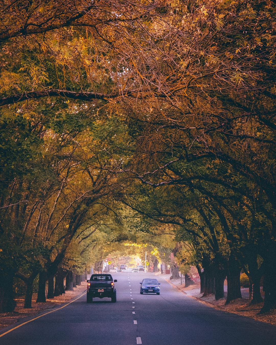 Nature View