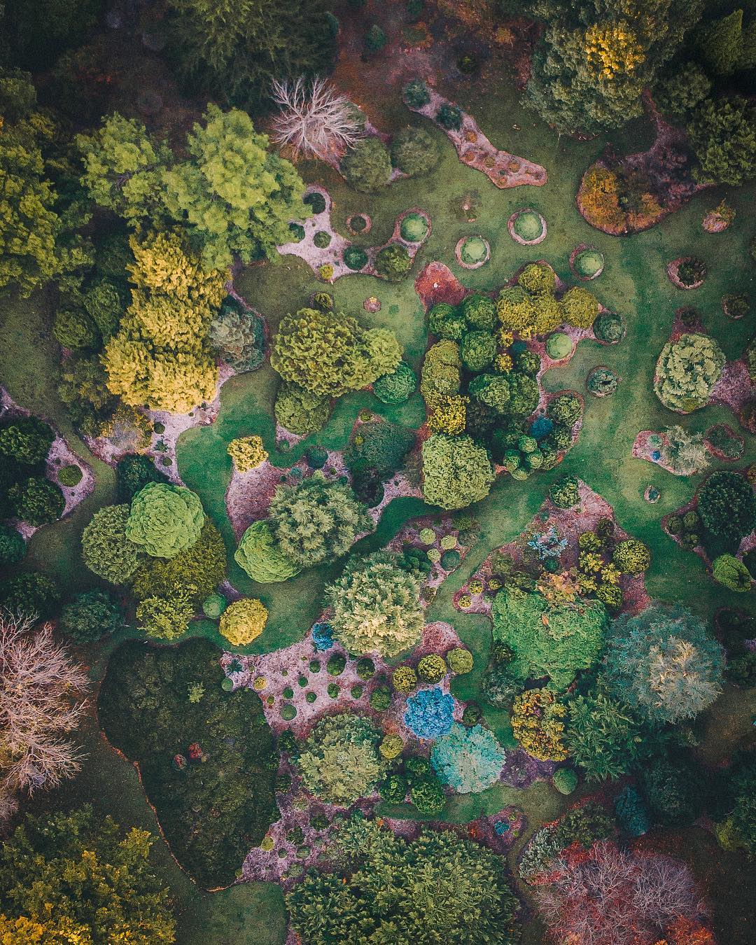 Nature View
