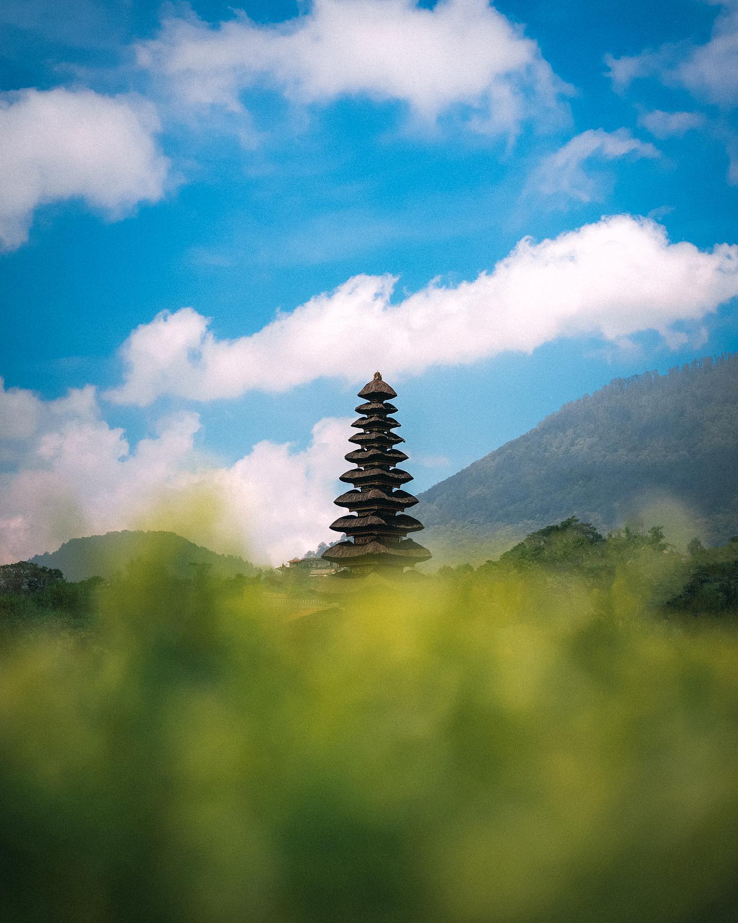 Nature View
