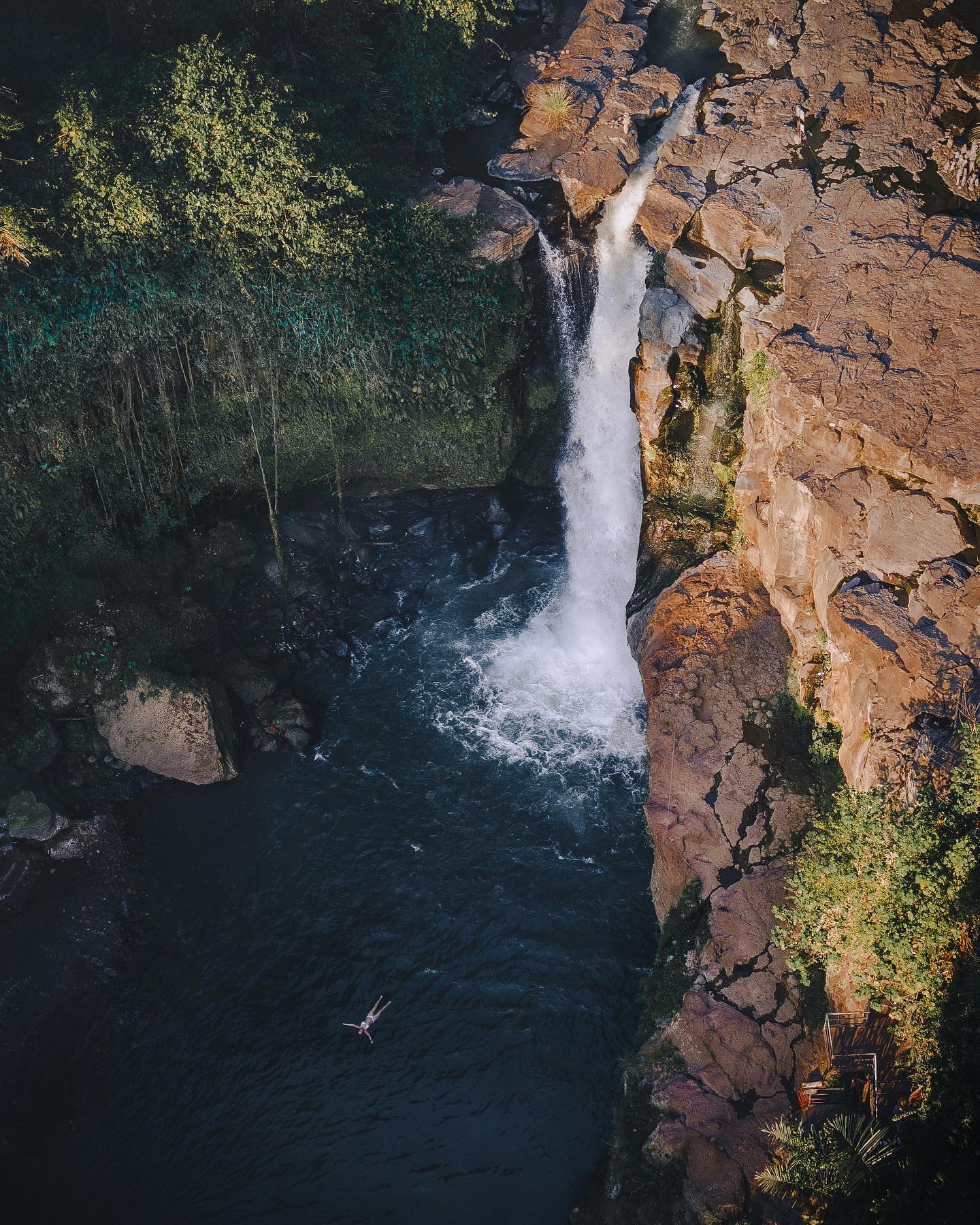 Nature View